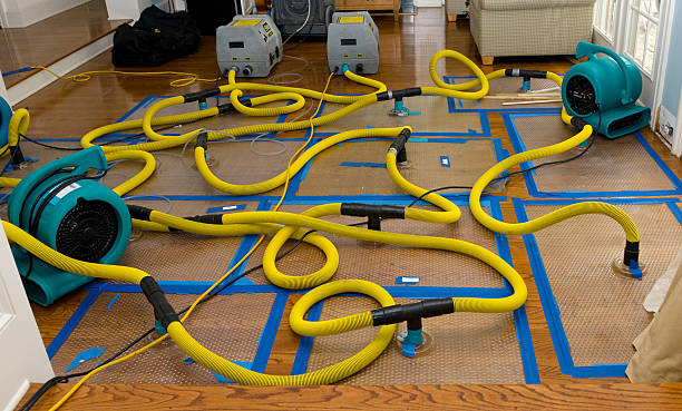 Professional Water Damage Restoration technician working in Winnebago, IL